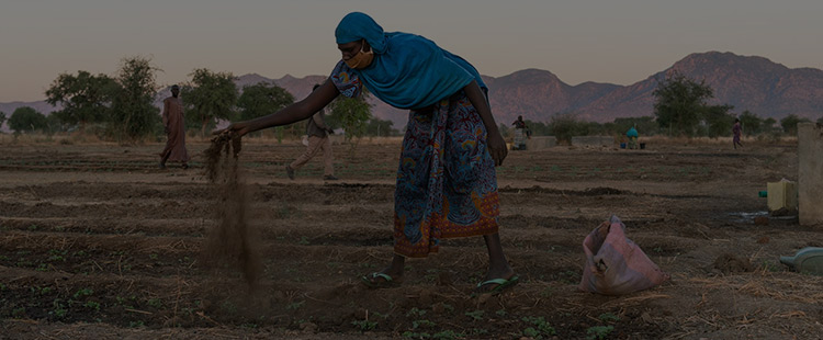 Photo of woman tending to crops